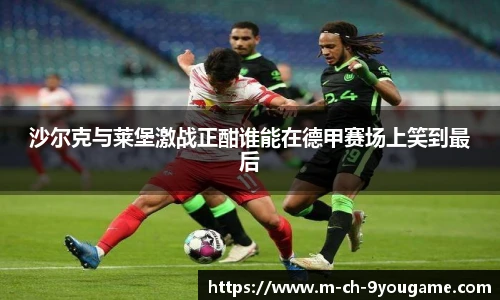 沙尔克与莱堡激战正酣谁能在德甲赛场上笑到最后